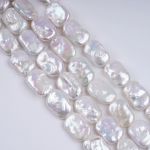 微信图片_20251104083504